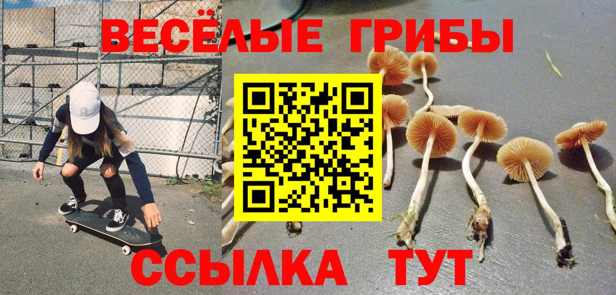 Псилоцибиновые грибы мухоморы  Галлюциногенные грибы Psilocybe  Вход с VPN  Котлас 