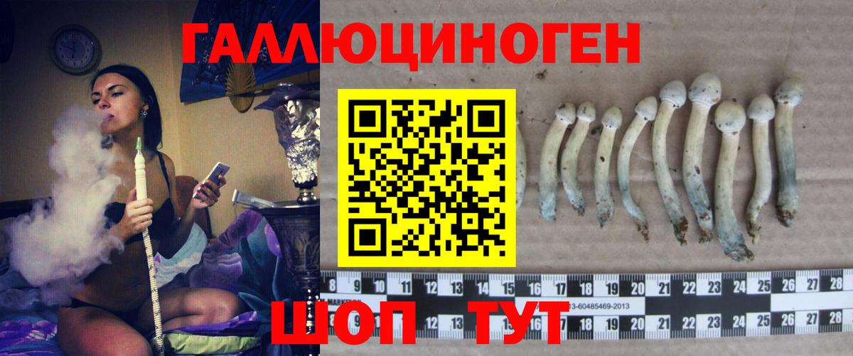 Галлюциногенные грибы GOLDEN TEACHER Котлас